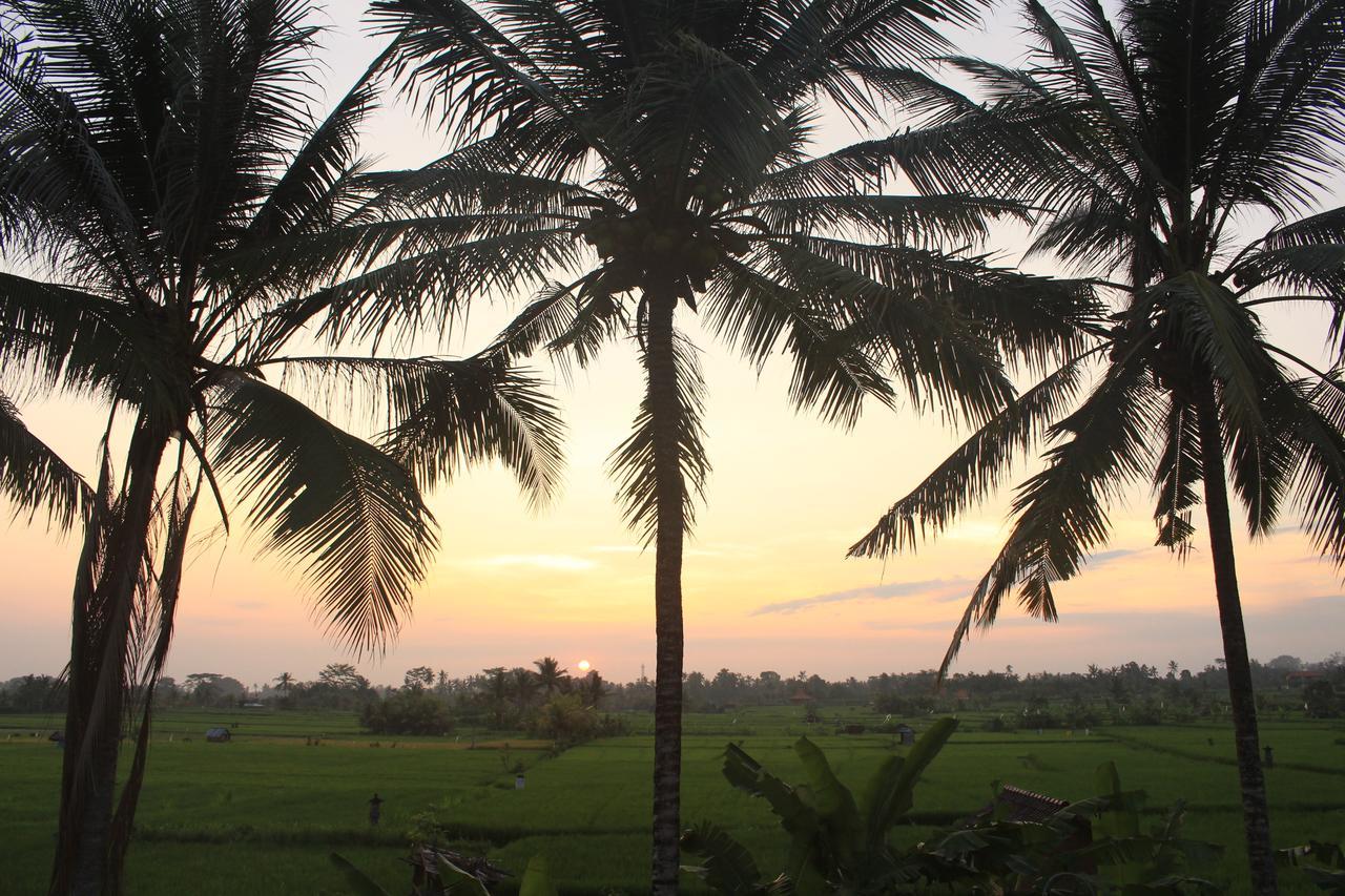 Uma Capung Mas Cottage Ubud Exterior foto