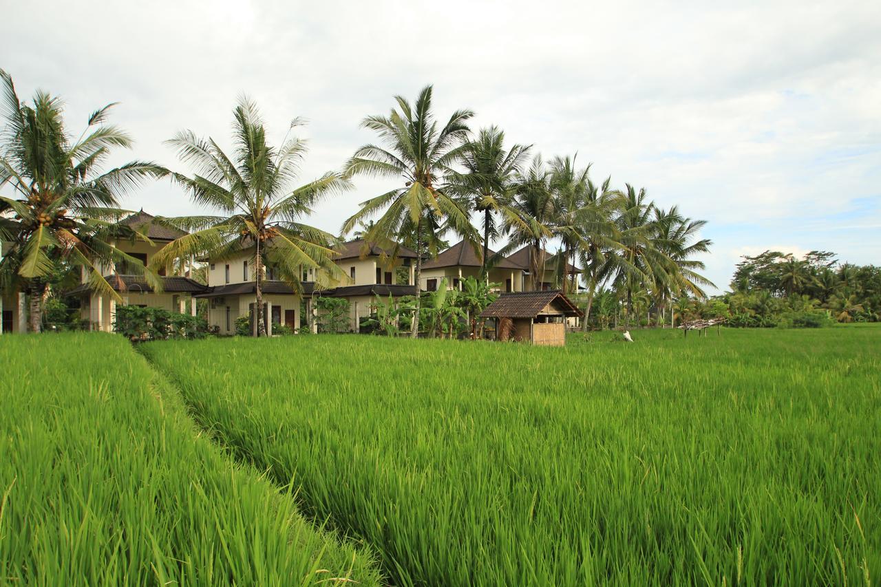 Uma Capung Mas Cottage Ubud Exterior foto